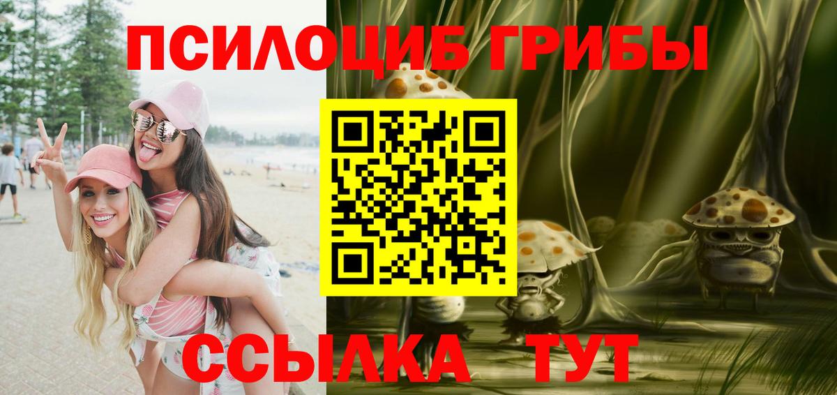 Псилоцибиновые грибы Psilocybe Печора