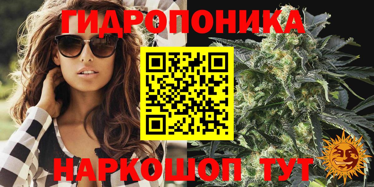 НБОМе Печора